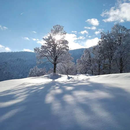 Keramik-alm Mit Garten Und Sauna